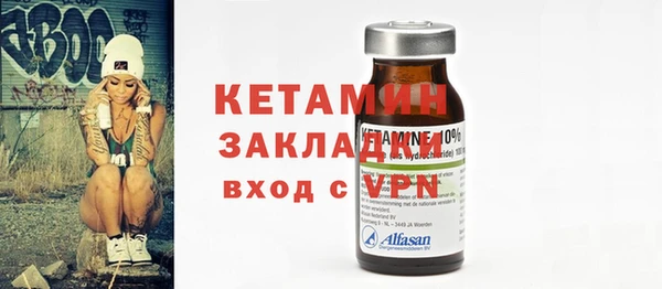 крисы Бородино