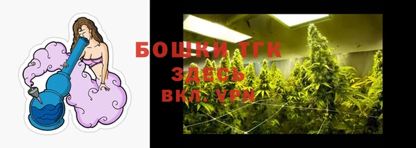 крисы Бородино