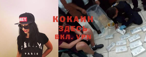 крисы Бородино