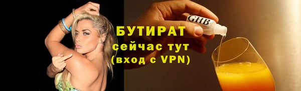 крисы Бородино