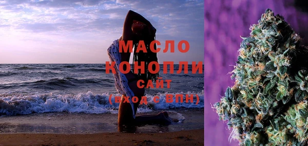 крисы Бородино