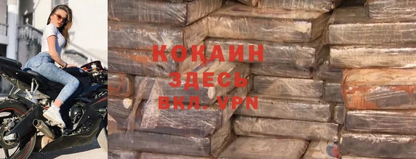 крисы Бородино