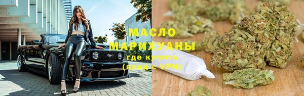 крисы Бородино