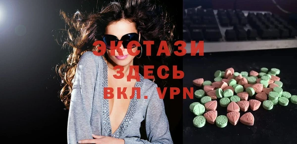 крисы Бородино