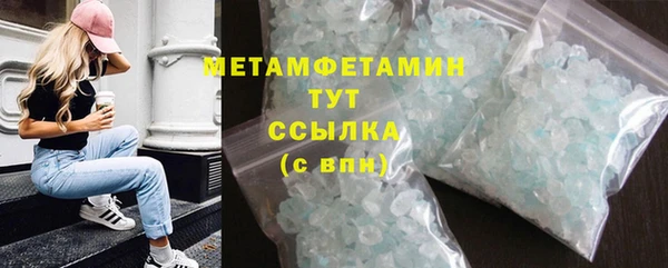 крисы Бородино
